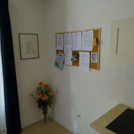 Job * Spalato